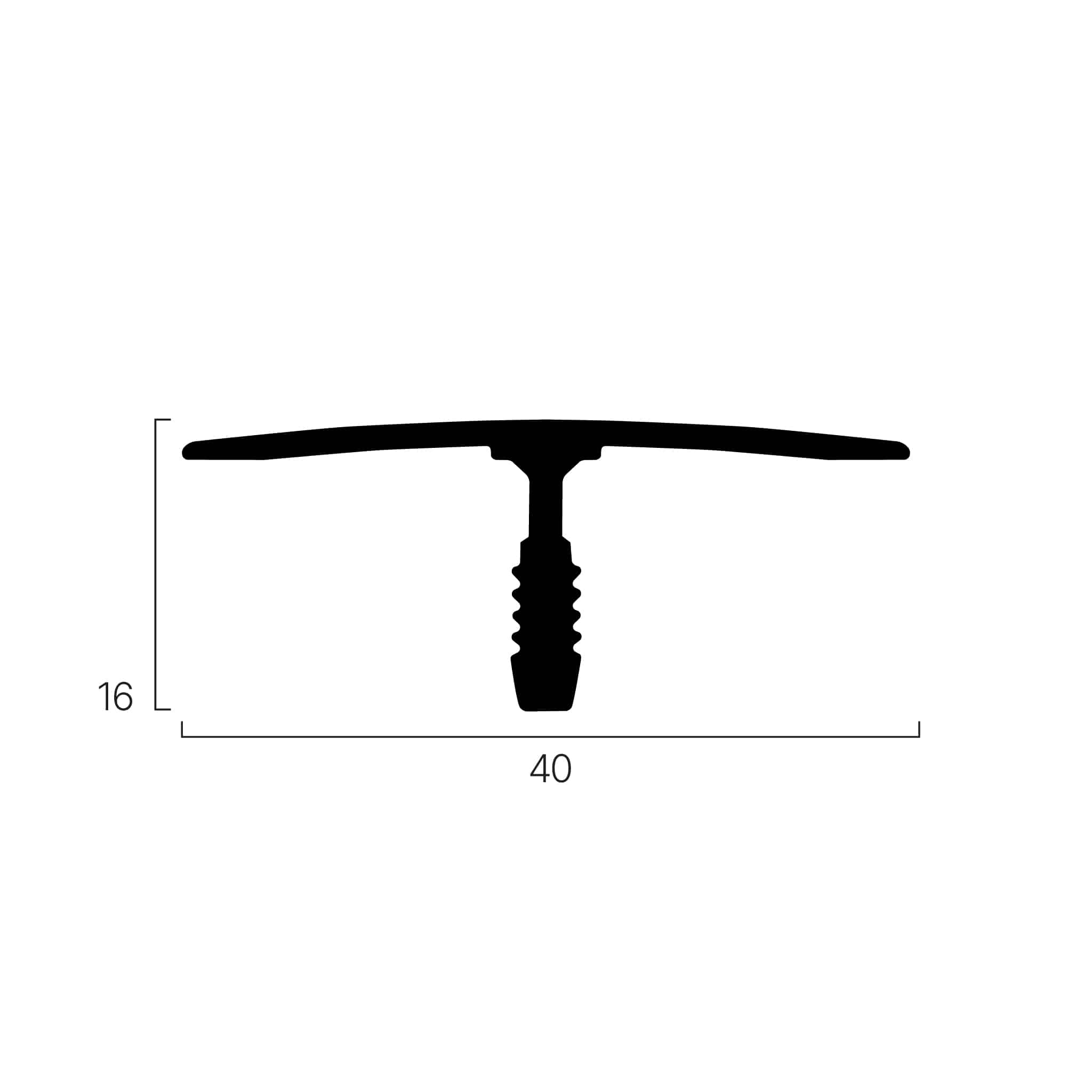 Anastasiya Chernobrovinaning külotlari